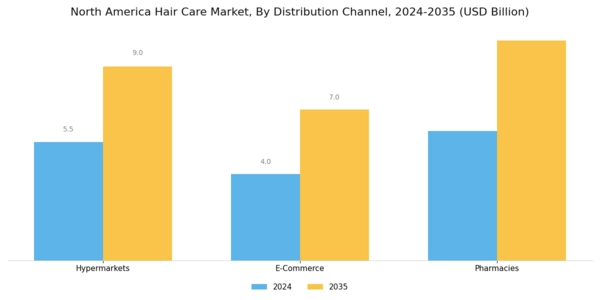 North America Hair Care Market Segment Image 2