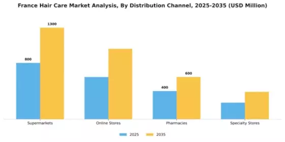France Hair Care Market Segment Image 0