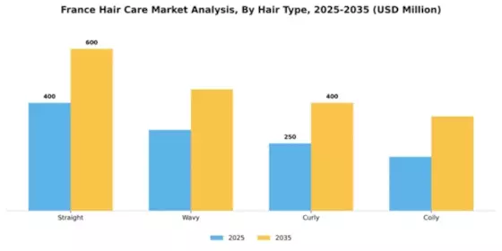 France Hair Care Market Segment Image 2