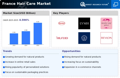 France Hair Care Market Infographic