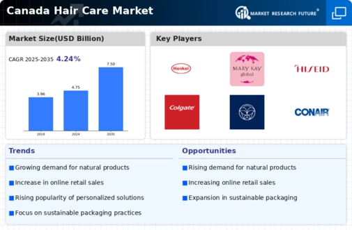 Canada Hair Care Market Infographic