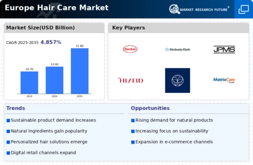 Europe Hair Care Market Infographic