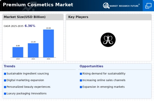 Premium Cosmetics Market Infographic