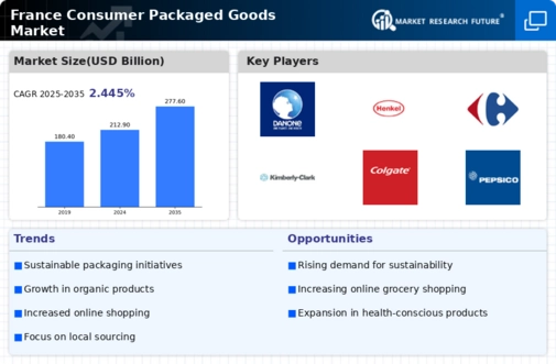 France Consumer Packaged Goods Market Infographic