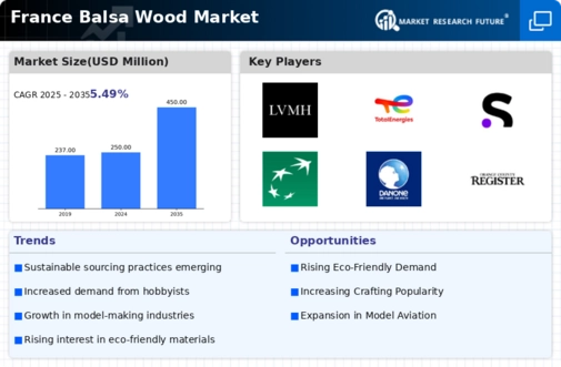 France Balsa Wood Market Infographic