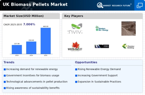 UK Biomass Pellets Market Infographic