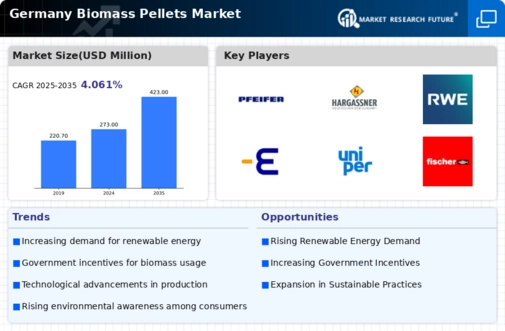 Germany Biomass Pellets Market Infographic