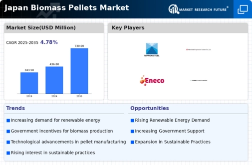Japan Biomass Pellets Market Infographic
