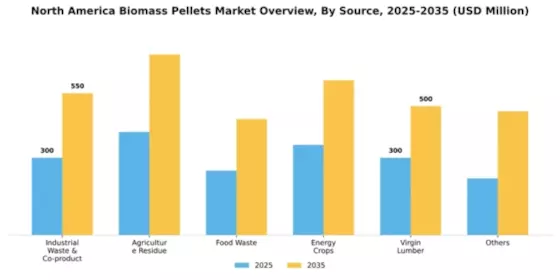 North America Biomass Pellets Market Segment Image 1