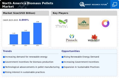 North America Biomass Pellets Market Infographic