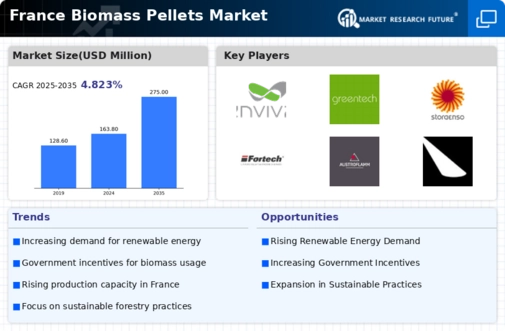 France Biomass Pellets Market Infographic