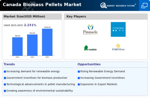 Canada Biomass Pellets Market Infographic