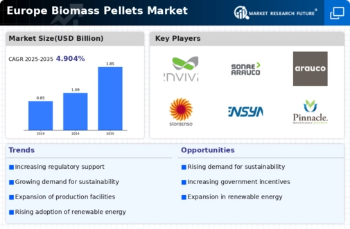Europe Biomass Pellets Market Infographic
