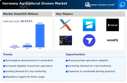 Germany Agricultural Drones Market Infographic