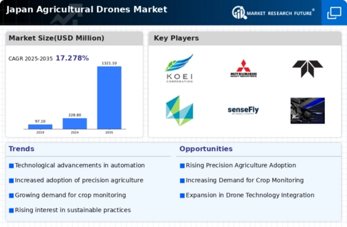 Japan Agricultural Drones Market Infographic