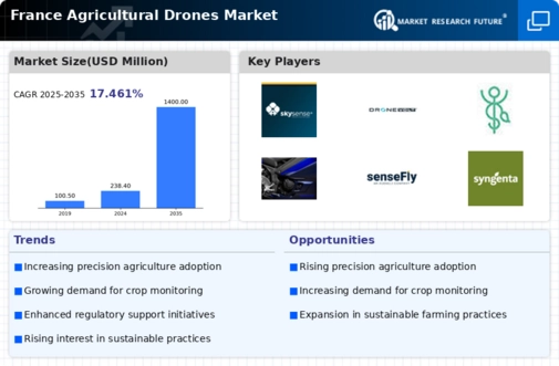 France Agricultural Drones Market Infographic