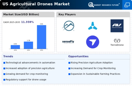 US Agricultural Drones Market Infographic
