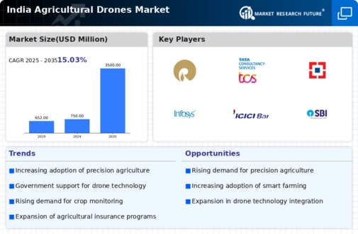 India Agricultural Drones Market Infographic