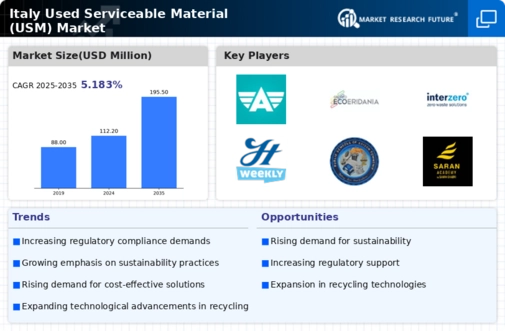 Italy Used Serviceable Material (Usm) Market Infographic