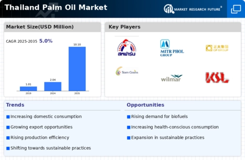 Thailand Palm Oil Market Infographic