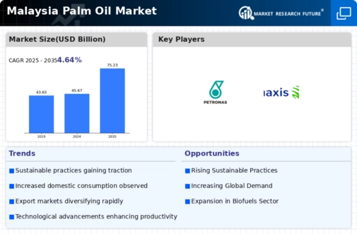 Malaysia Palm Oil Market Infographic