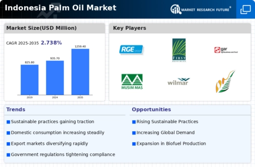 Indonesia Palm Oil Market Infographic