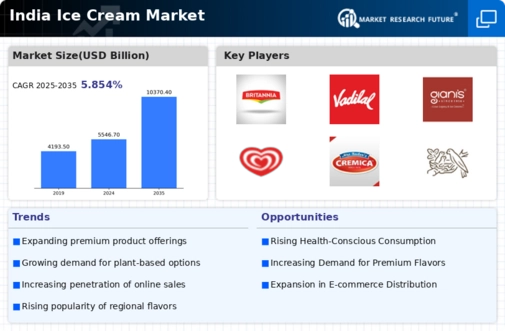 India Ice Cream Market Infographic