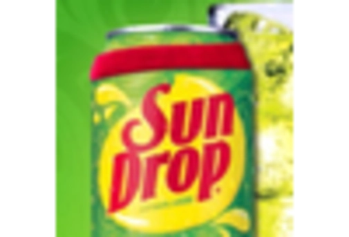 India Healthy Snacks Market key player