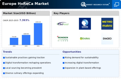Europe Horeca Market Infographic