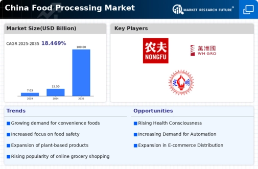China Food Processing Market Infographic