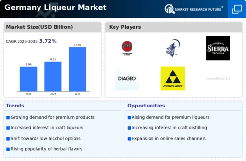 Germany Liqueur Market Infographic