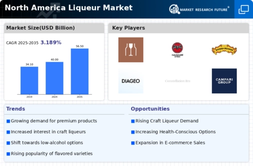 North America Liqueur Market Infographic