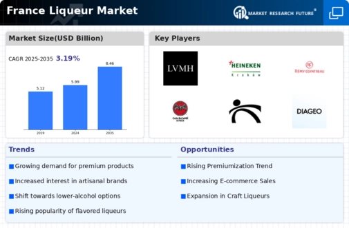 France Liqueur Market Infographic