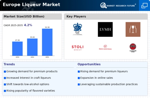 Europe Liqueur Market Infographic