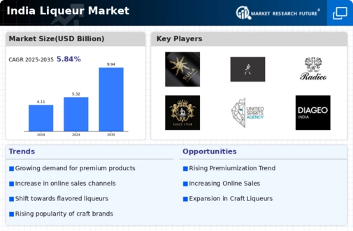 India Liqueur Market Infographic