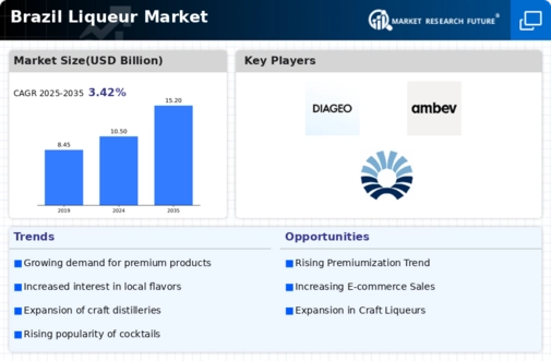 Brazil Liqueur Market Infographic
