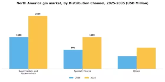 North America Gin Market Segment Image 0