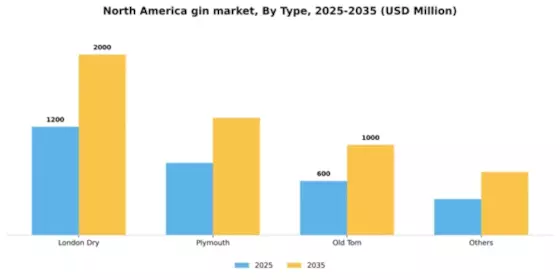 North America Gin Market Segment Image 1