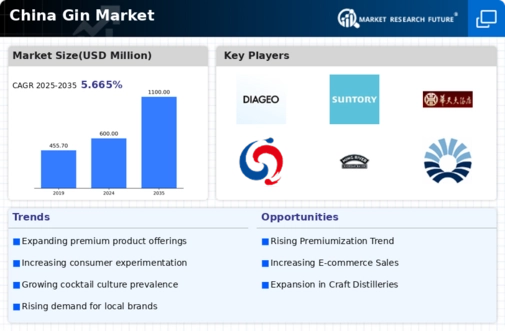 China Gin Market Infographic