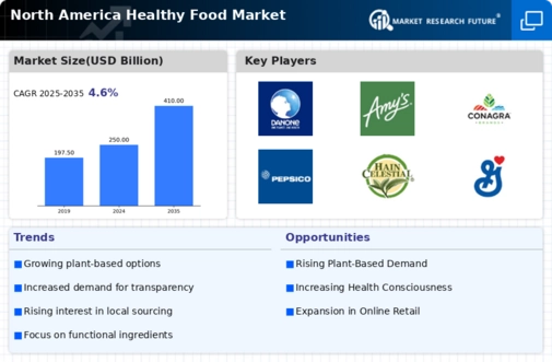 North America Healthy Food Market Infographic