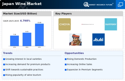 Japan Wine Market Infographic