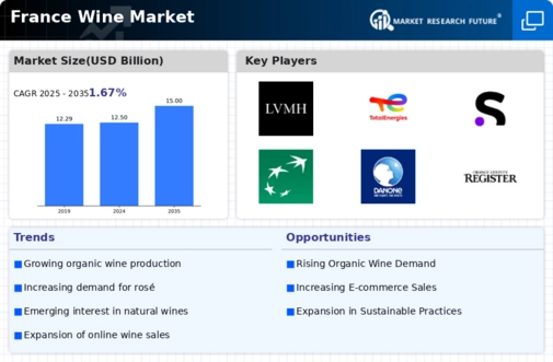 France Wine Market Infographic
