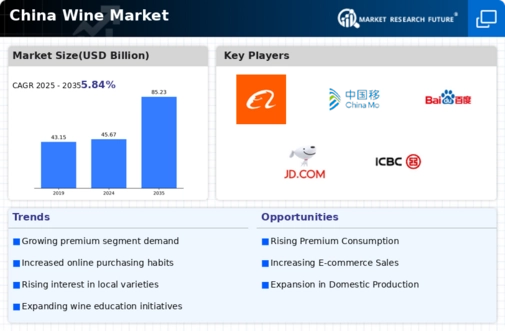 China Wine Market Infographic