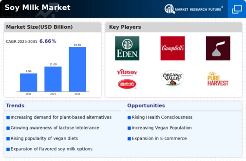 Soy Milk Market Infographic