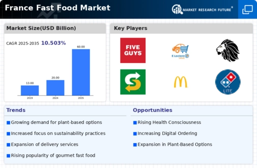 France Fast Food Market Infographic