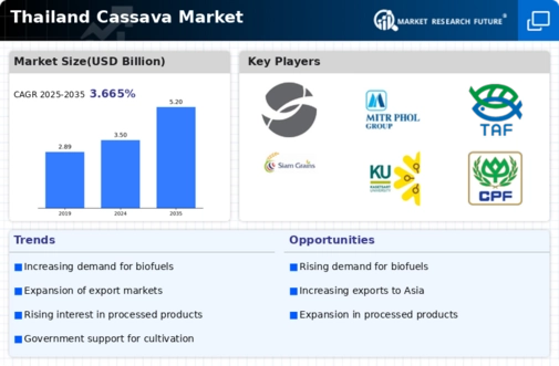Thailand Cassava Market Infographic
