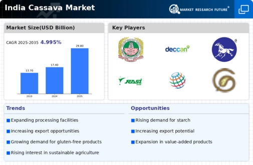 India Cassava Market Infographic