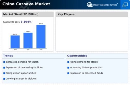 China Cassava Market Infographic