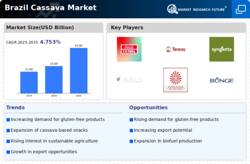 Brazil Cassava Market Infographic