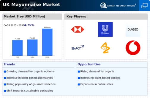 UK Mayonnaise Market Infographic